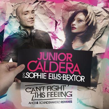 Can't Fight This Feeling (Club Remixes)