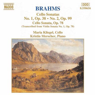 Cello Sonata No. 1 in E Minor, Op. 38: I. Allegro non troppo