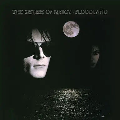Flood I