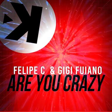 Are You Crazy - Extended Mix