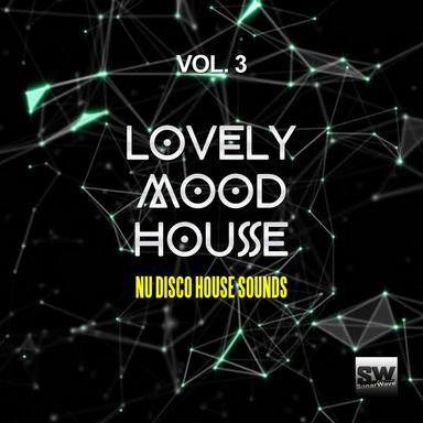 The Violin (feat. Lady Jey) - Frenk DJ & Joe Maker Remix