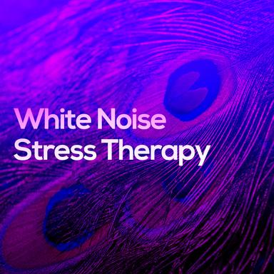 White Noise Alterations