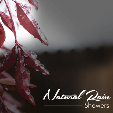 Sleeping in the Rain