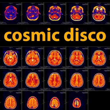 Space Disco Fly