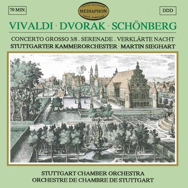 Serenade for Strings in E Major, Op. 22: IV. Larghetto