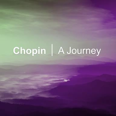 12 Etudes, Op. 10: No. 4 In C Sharp Minor