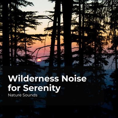 Trekking the Mountain