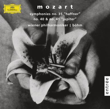 Symphony No. 40 In G Minor, K.550: 4. Finale (Allegro assai)