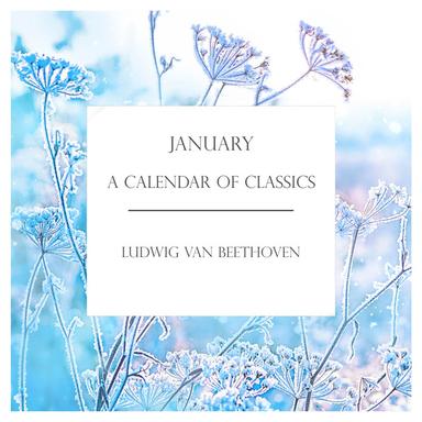 Piano Sonata No. 14 in C-Sharp Minor, Op. 27 No. 2 "Moonlight": III. Presto agitato