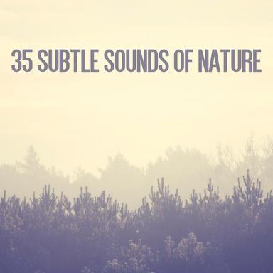 35Subtle Sounds of Nature