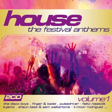 Stronger Together (Michael Fall Radio Remix)