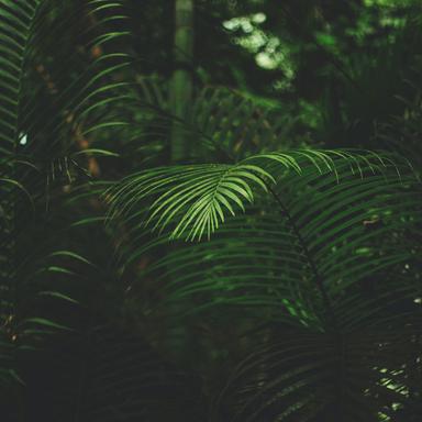 Sounds of Nature | New Age Music | Chilling Out