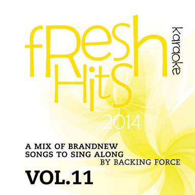 Fresh Karaoke Hits - 2014 - Vol. 11