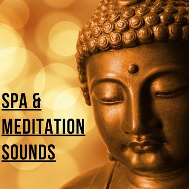 Meditation