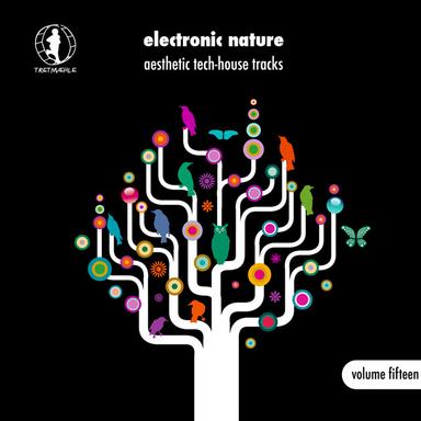 Blind Man's Shine - Jonny Calypso Remix