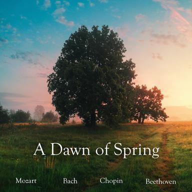 6 Lieder, Op. 85: No. 6, In Waldeinsamkeit (Arr. Reger for Piano)