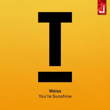 You're Sunshine - Radio Edit