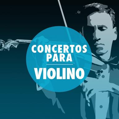 Violin Concerto in D Minor, Op. 47: I. Allegro moderato