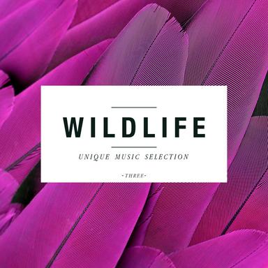 Wildlife - Unique Music Selection, Vol. 3