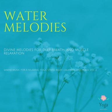 A Dark Night In Forest - Original Mix