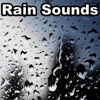 Night Rain