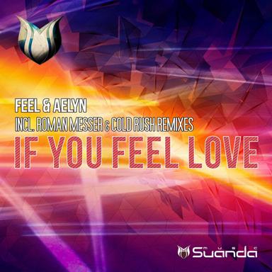 If You Feel Love - Feel Up Dub Mix