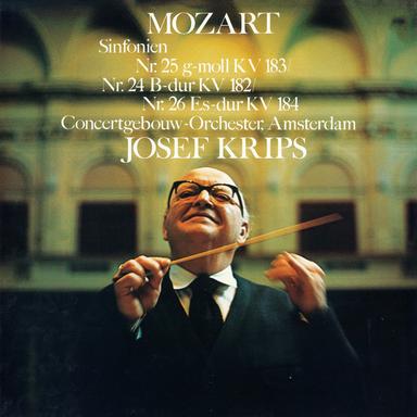Symphony No. 25 in G Minor, K. 183: IV. Allegro - 2024 Remaster