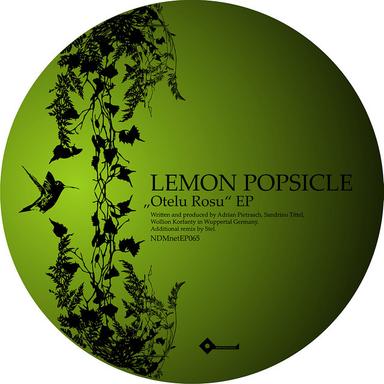 Leaving Home - Stel Remix