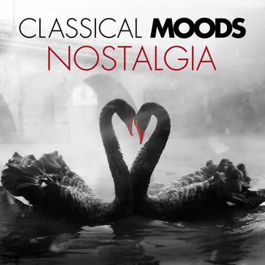 Concerto in F Major for Piano and Orchestra: II. Adagio - Andante con moto