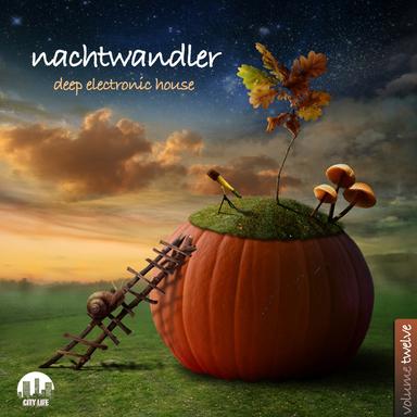 Nachtwandler, Vol. 12 - Deep Electronic House
