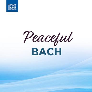 St. Matthew Passion, Bwv 244: Part III: No. 54. Chorale: O Haupt voll Blut und Wunden