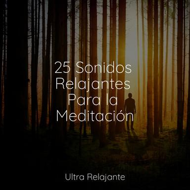 Melodía De Meditación Matutina