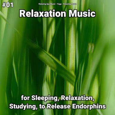 Soft Yoga Music for Your Brain