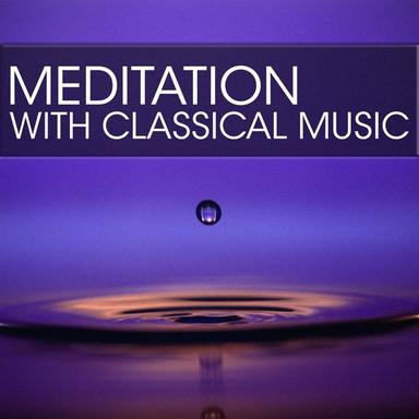 Sonata in C minor : 1. Largo