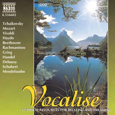Schwanensee, Op. 20: Swan Lake, Op. 20, Act II, No. 13: Dances of the Swans: Andante