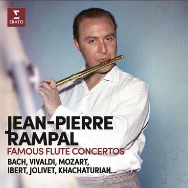Reinecke: Flute Concerto in D Major, Op. 283: I. Allegro molto moderato
