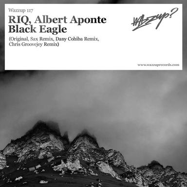 Black Eagle - Dany Cohiba Remix