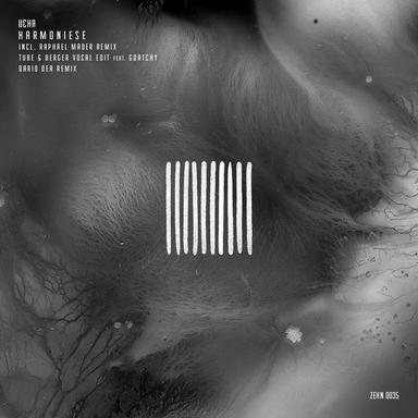 Harmoniese - Raphael Mader Remix
