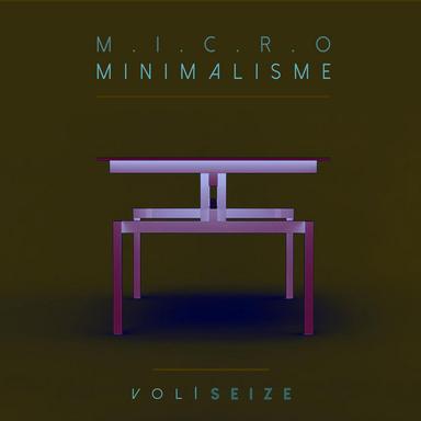 Micro Minimalisme Vol. Seize