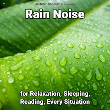 Ambient Rain for Meditation