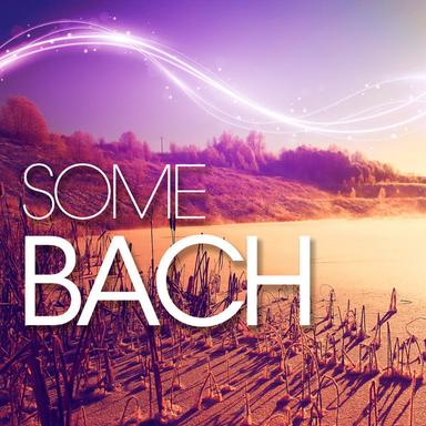 Violin Concerto in G Minor, BWV 1056R: I. Allegro