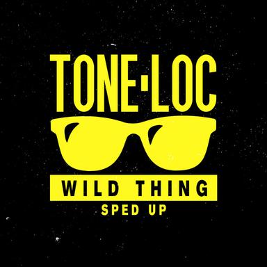 Wild Thing - Re-Recorded - Sped Up
