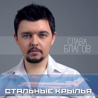 Стальные крылья