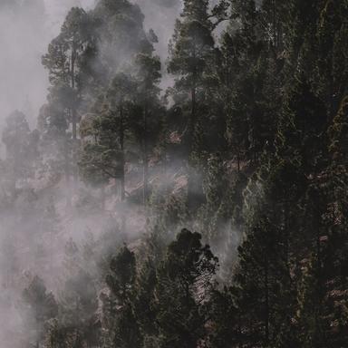 Mist in the Window