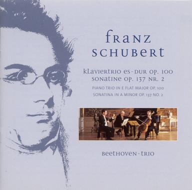 Piano Trio No. 2 in E-Flat Major, Op. 100, D. 929: II. Andante con moto