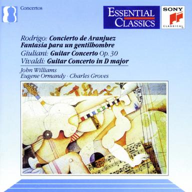 Concerto for Guitar and String Orchestra in D Major, RV 93: II. Largo