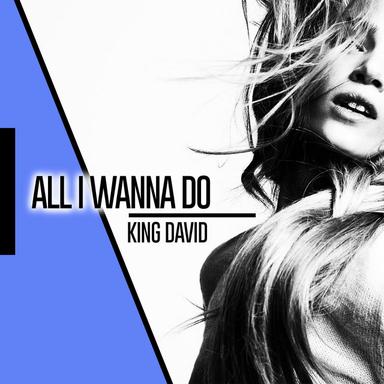 All I Wanna Do - Radio Edit