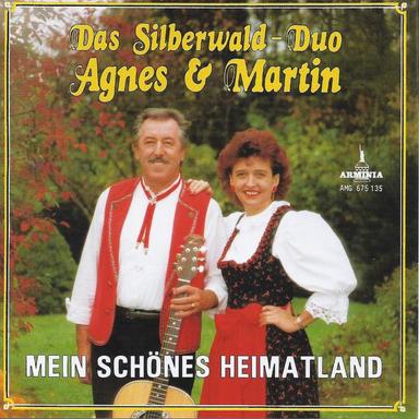 Der alte Bernhardiner