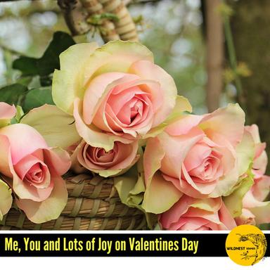 Slow in Rain (C Major)