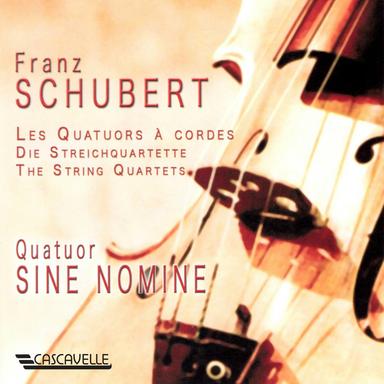 String Quartet No. 9 in G Minor, D. 173: I. Allegro con brio